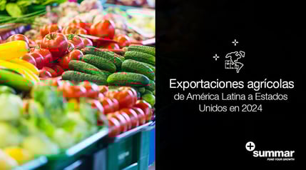 mostrador con verduras para la venta